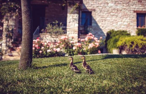 Agriturismo Casal San Sergio - Photo 70