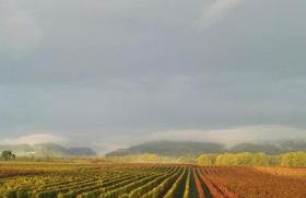 Valley ferienwohnung SÜW - Foto 1