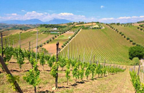 Terra di Ea - Foto 70