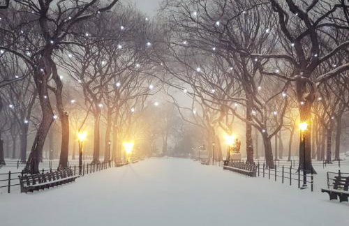 Chatterley House - Foto 105