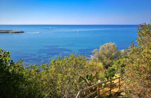 Dominella 3 - Foto 28