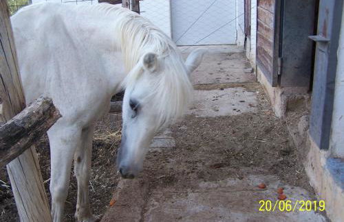 Casa Rural Altozano Elche de la Sierra - Foto 40