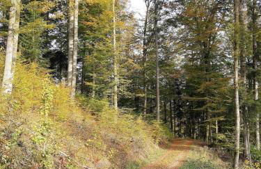 Charlys Bleibe Gastunterkunft inmitten der Natur - Foto 27