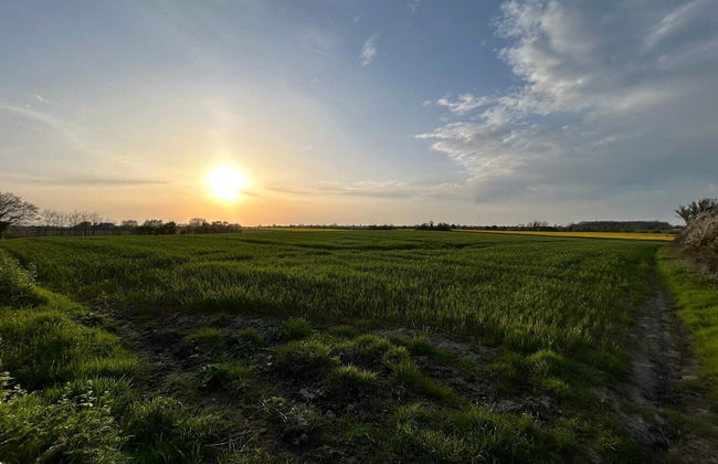 8 Person Holiday Home in Haderslev-by Traum - Foto 25