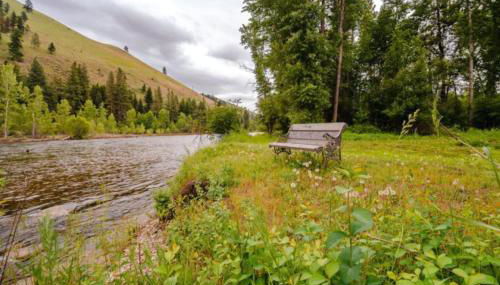 Private River Front Cabin - Foto 4