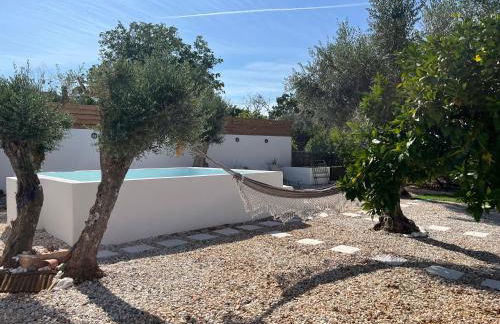 Cantinho do Baloiço - Foto 14