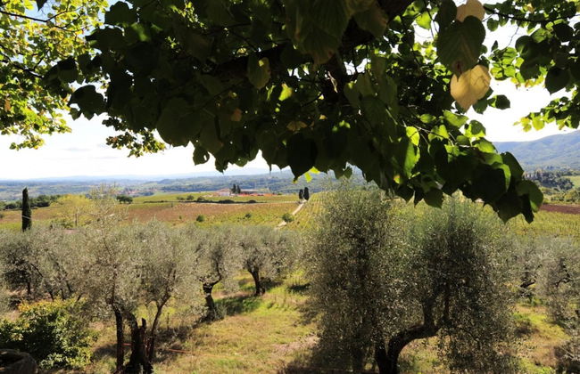 Rustic Elegance Near Florence - Foto 51