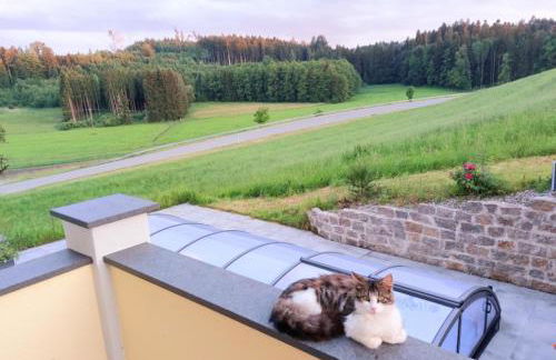 Ferienhof Broger FeWo Bergblickle mit Pool - Foto 29