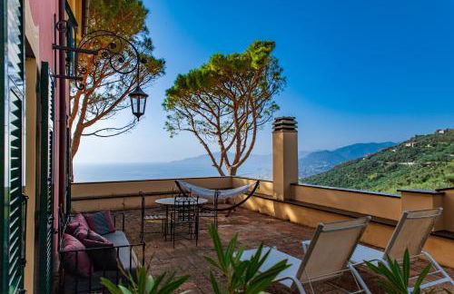 Olivenere agriturismo - Foto 14