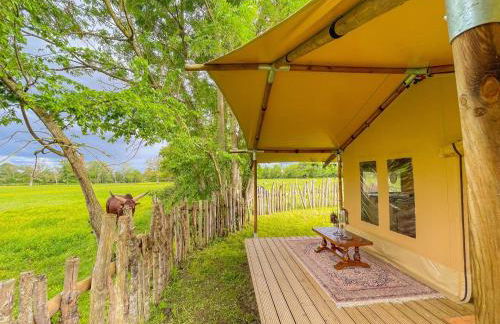 Parc animalier des Clautres - Maison Roulottes Tente - Photo 9