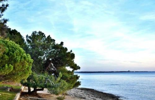 Apartment NEŽA B4 by Interhome - Foto 47