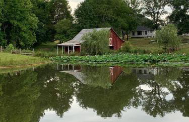 In the Woods by a Pond! Sugar Ranch Guest House! - Foto 65