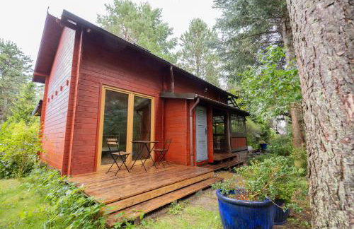 Leśniczówka Białogóra & jacuzzi - Foto 25