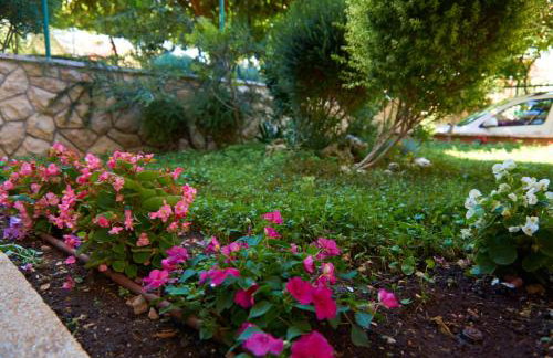 Apartmani Marta i Franka - Foto 53