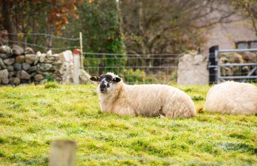 Bryn Bethel - Foto 21