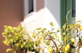 ZEN Minimal Luxury Housing Tyros - Foto 19