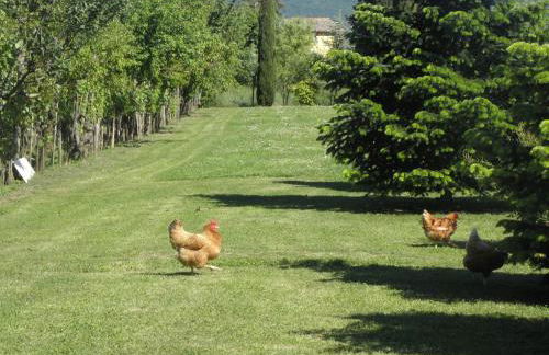 Villa San marco - Foto 40