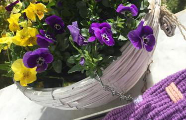 Il Ghiretto Appartamento - Photo 14