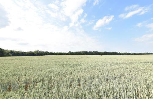 Comfortable Apartment in Quaint Holiday Village - Foto 30