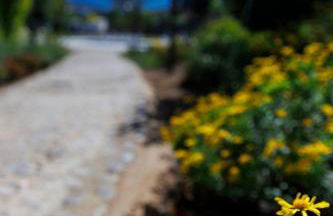 Finca las Pecas - Foto 62