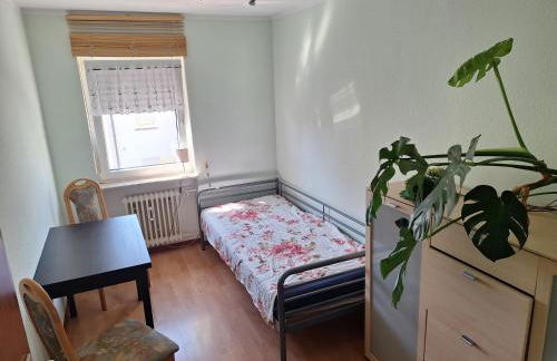 Ella Schmidt - Foto 8