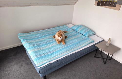 Nordwind - a69927 - Foto 12