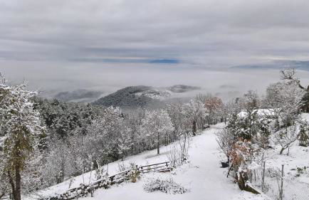 Alloggio turistico Montelirossi - Photo 2