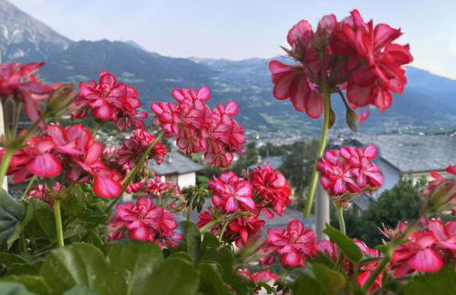 Grenier du Coeur - Foto 78