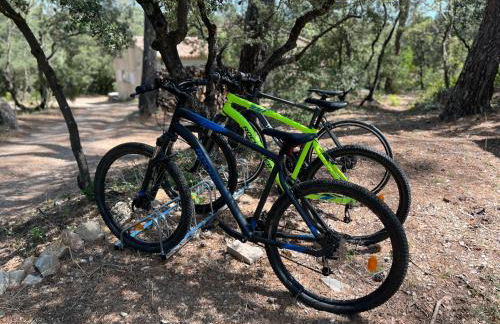 Villa Claudia Domaine les Palmiers - Foto 27