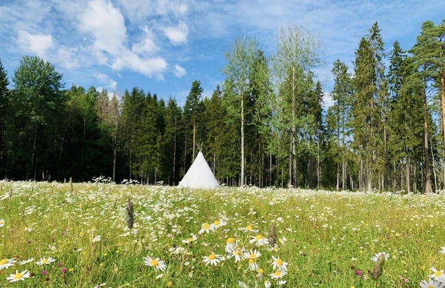 Tranquil Lakeside Cottage Retreat - Foto 22