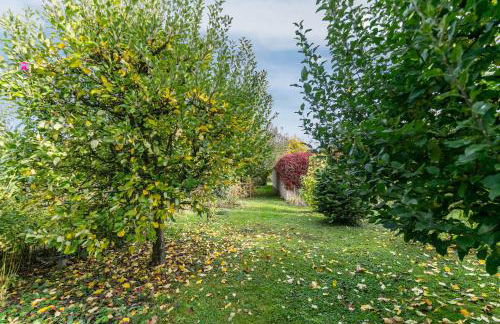 Ferienwohnung im Blumengarten - Foto 22