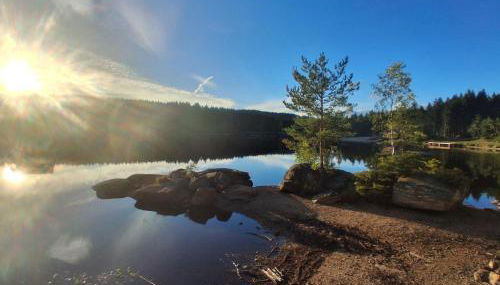 Fichtelappartment - Photo 5