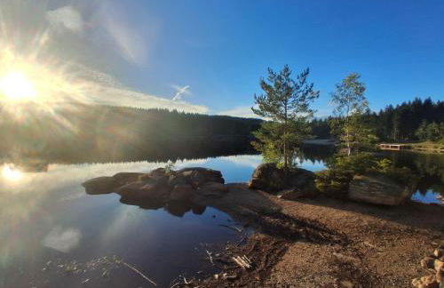 Fichtelappartment - Photo 5