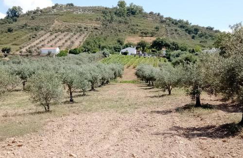 Casas Porta Alegre - Photo 24