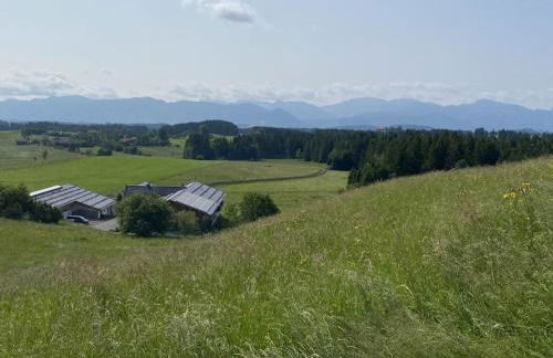 Langegger Alm - Almhütte - Foto 15