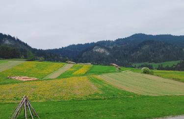 Agroturystyka Pod Zamczyskiem - Photo 25