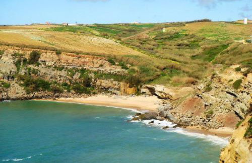 Campo de Oleandros - Foto 39