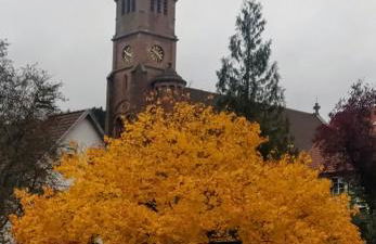 Ferienwohnung, Sauna & Gästekarte gratis im Schwarzwald - Photo 30