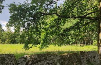 WITERICUS hospedaxe - Photo 18