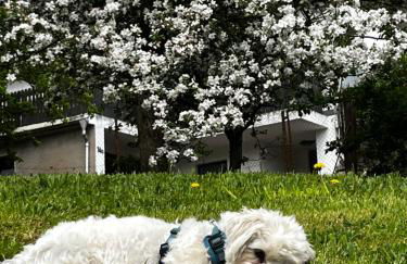 Ferienwohnung Makowitschka - Foto 8