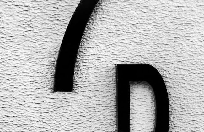 Point Bulli - Photo 20