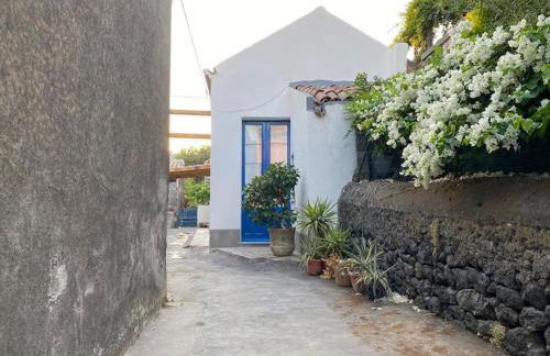 Casaammari - Foto 38