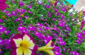 Villa Entre Bordeaux et Arcachon - Foto 33