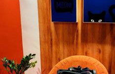 Granja Vianna apartment, impecável! - Foto 5