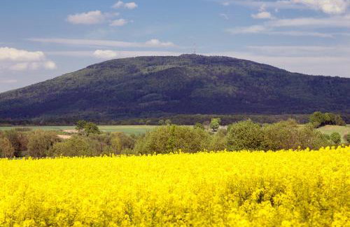 SuliLand Domki pod Ślężą - Photo 49