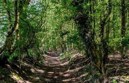 Boutique Luxury Cottage Cheshire Wedding Guests - Foto 57