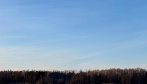Domki nad rzeką Narew - Foto 2, Garden