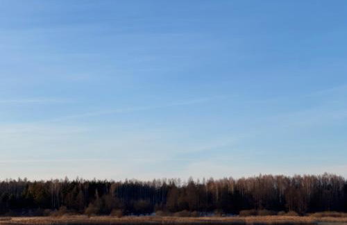 Domki nad rzeką Narew - Foto 2