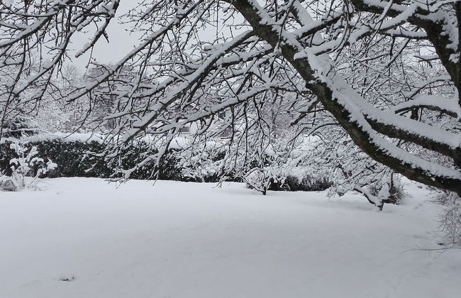 A Villa Between the Town Centre and the Forest - Foto 23