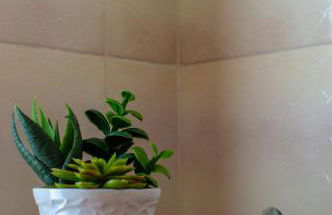 Overlooking Genoa - Foto 32